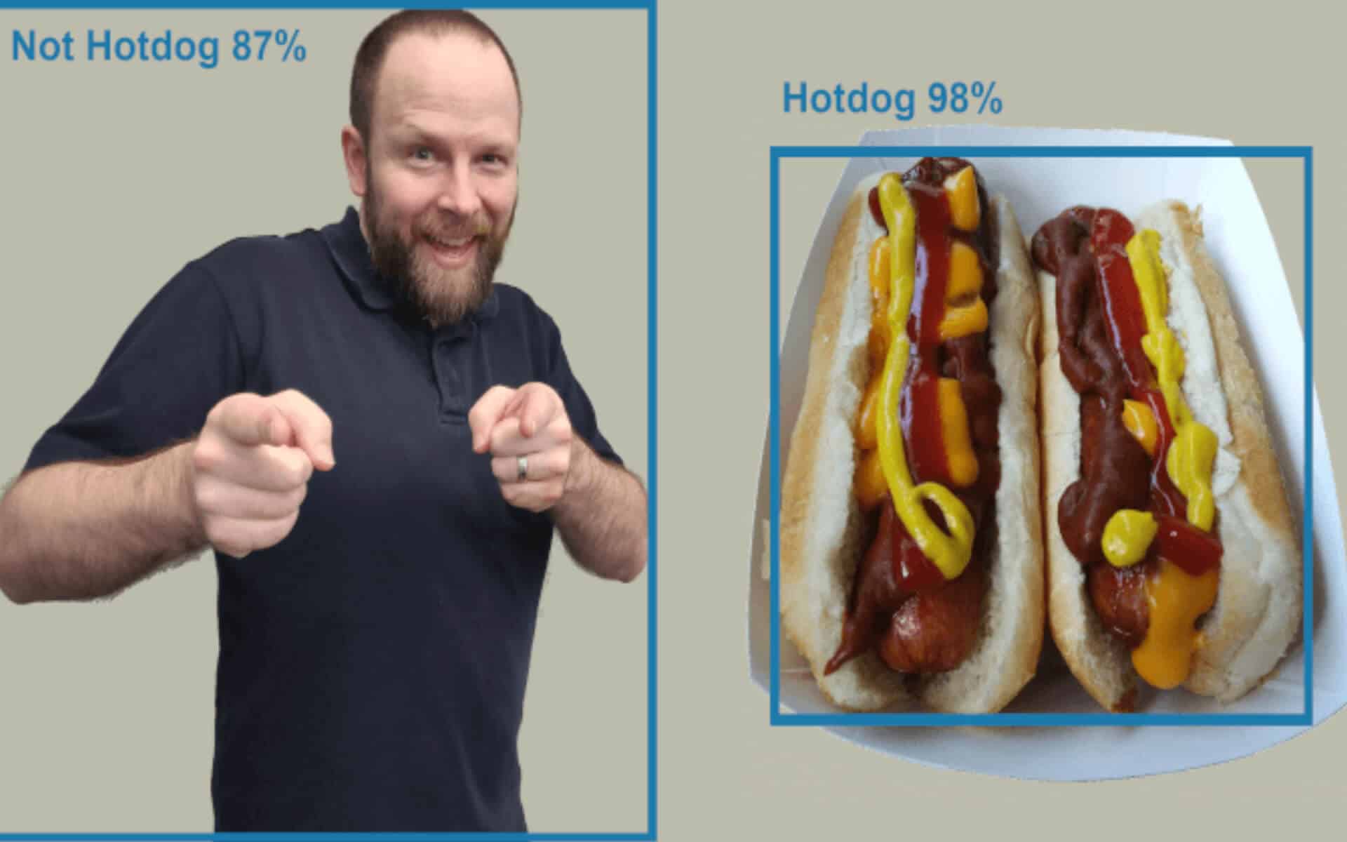 AI Detecting if a human is a hotdog